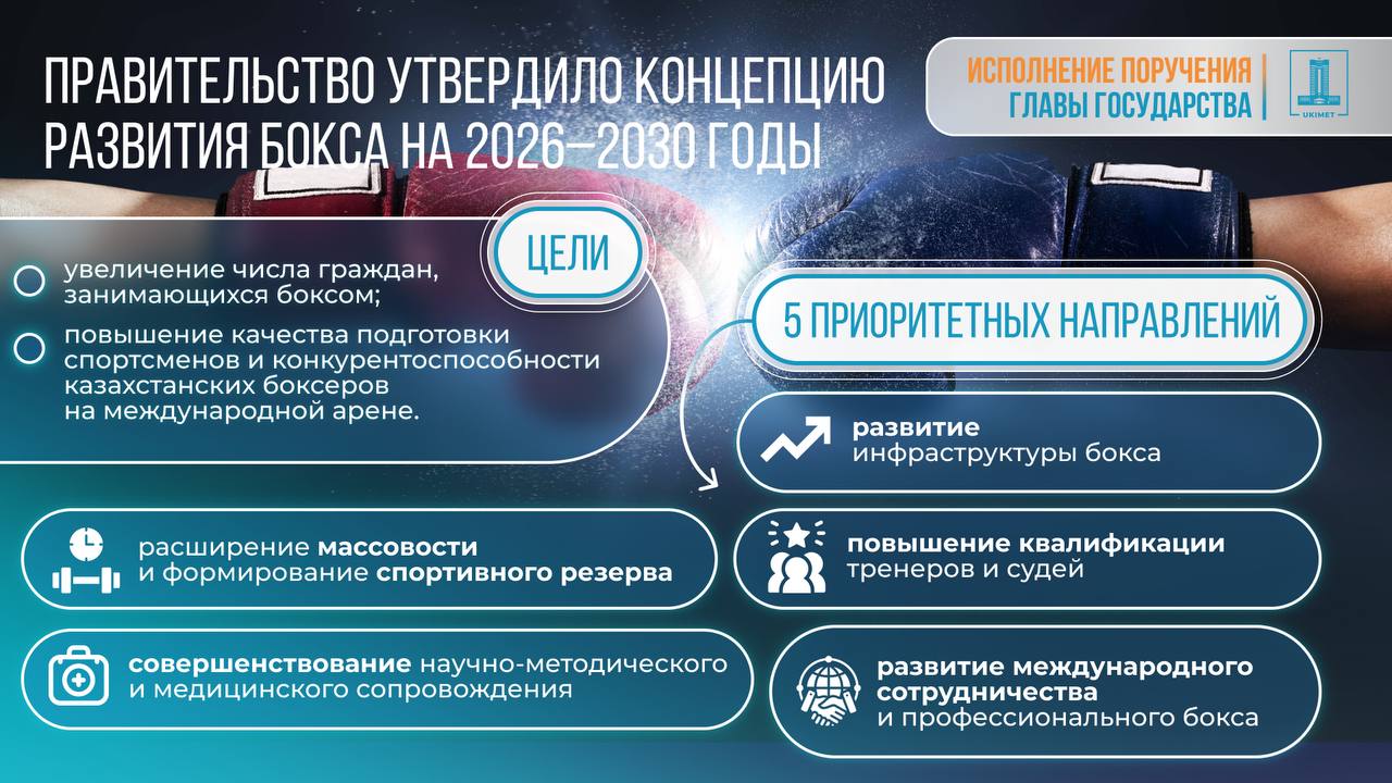 Үкімет 2026–2030 жылдарға арналған боксты дамыту тұжырымдамасын бекітті