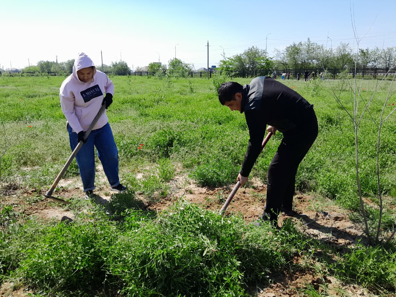 Шардара ауданында «Таза Қазақстан» бағдарламасы аясында тазалық жұмыстары жүргізілді.
