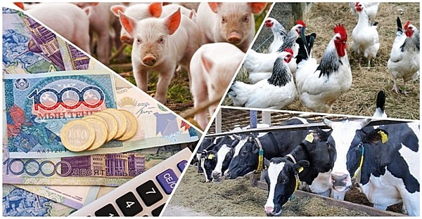 мал шаруашылығы өнімінің өнімділігі мен сапасын арттыруды субсидиялау бойынша