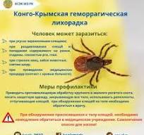 Конго-Қырым геморрагиялық қызбасы (КҚҚА)