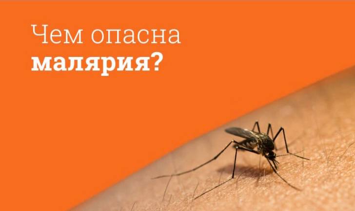 Безгек: сақтық шараларын ұмытпаңыз!