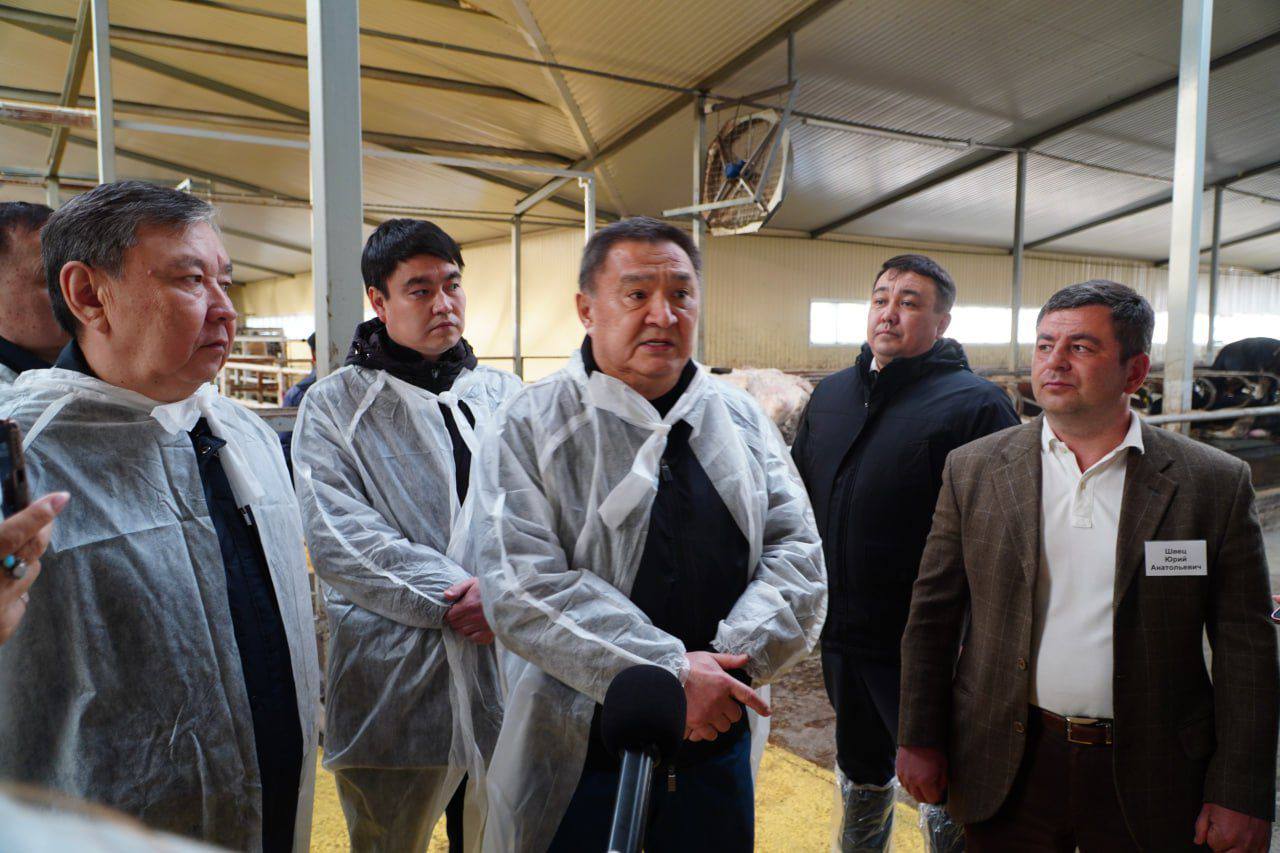 Ақмола облысында 400 басқа арналған заманауи сүт-тауар фермасы іске қосылды