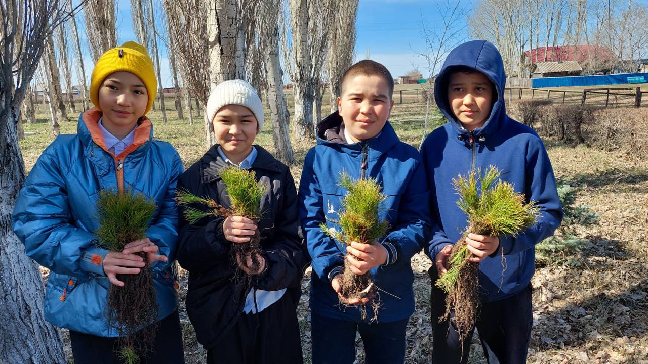 «Болашақты бірге отырғызамыз»: Аққулы ауданындағы экологиялық бастама