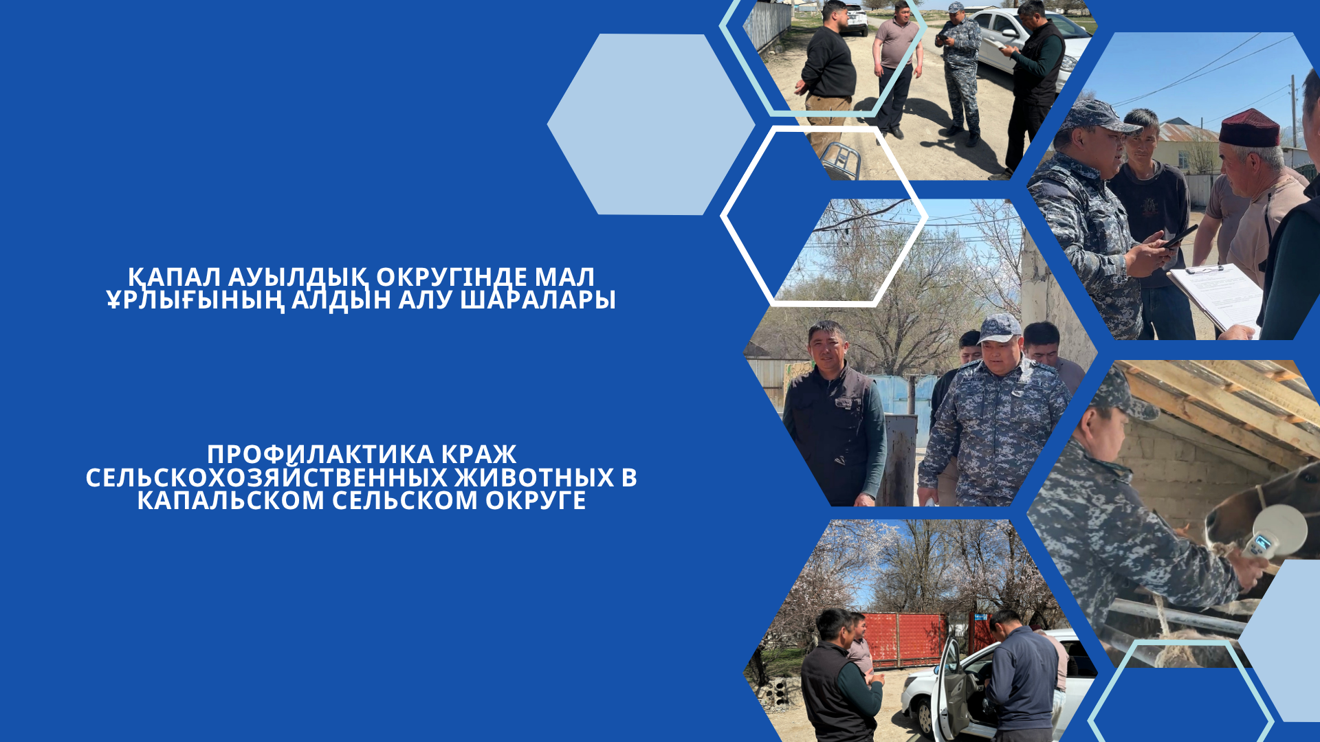 Қапал ауылдық округінде мал ұрлығының алдын алу шаралары