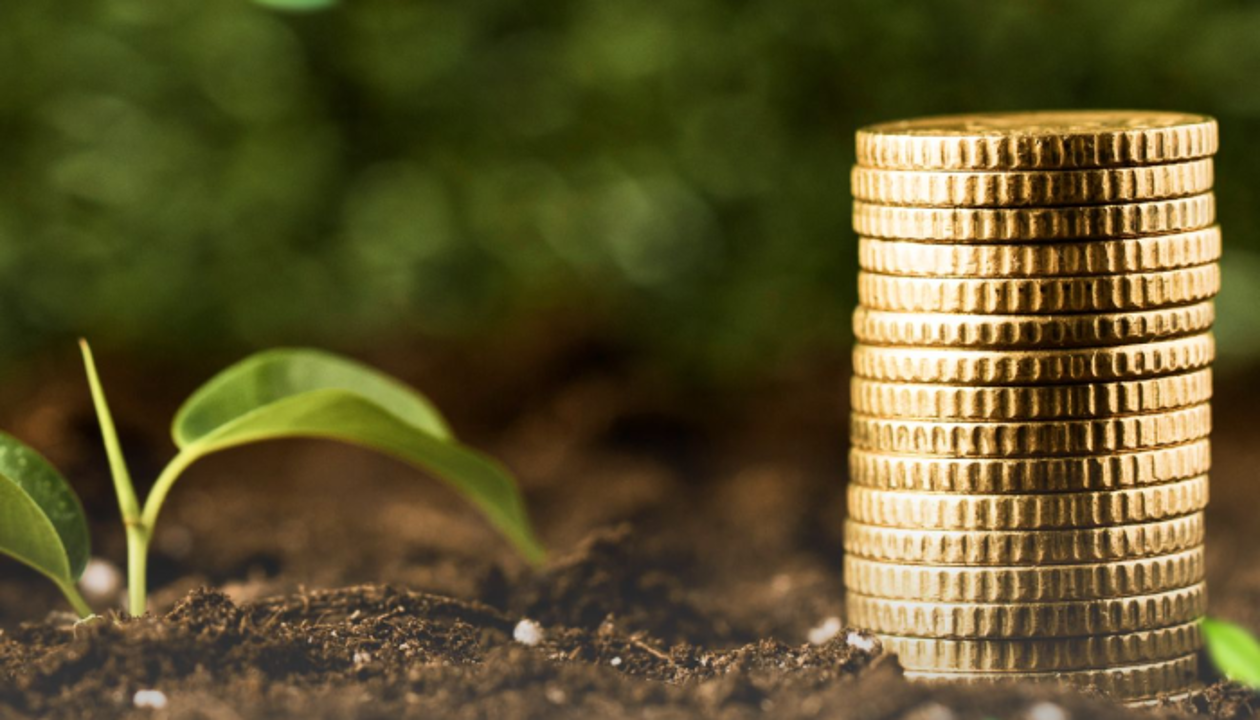 Аграрлық несие корпорациясы АӨК саласында сақтандыру сыйақыларын субсидиялауға өтінімдерді қабылдауды бастады