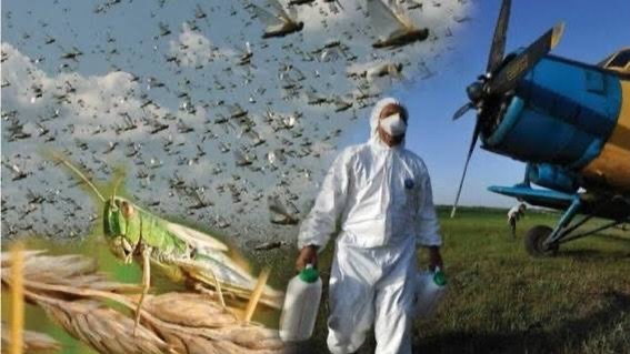 ОМАРТА ИЕЛЕРІНЕ МАҢЫЗДЫ ЕСКЕРТУ: ӨҢДЕУ ЖҮРГІЗІЛЕТІН АЙМАҚТАР АНЫҚТАЛДЫ