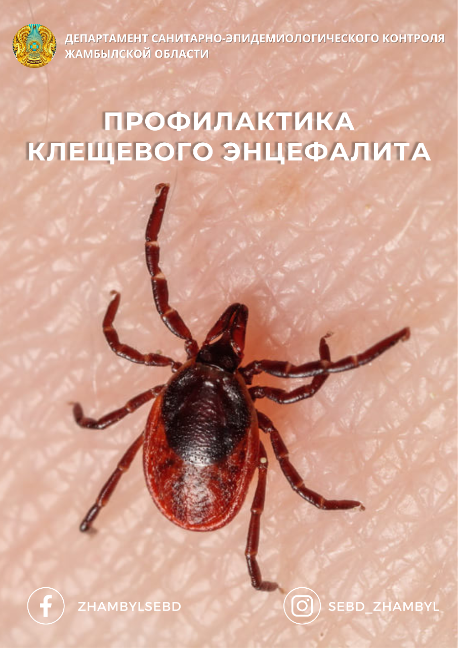 Кене энцефалитінің алдын алу