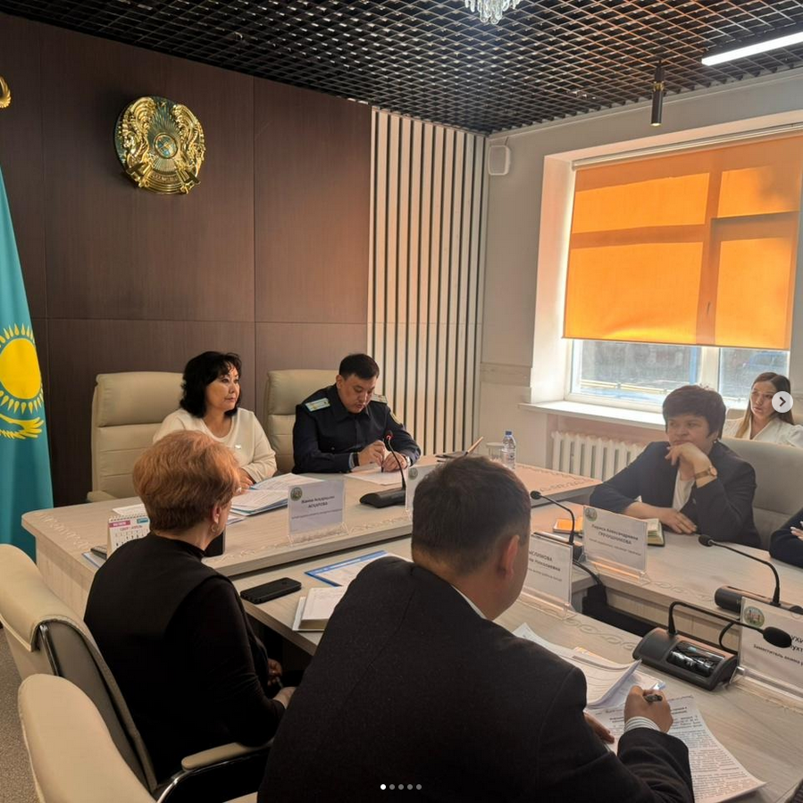 Аудан прокуроры Алтай Рыспаев Е.Е., полиция өкілдерінің, қалалар, кенттер және ауылдық округтер әкімдерінің, сондай-ақ дербес бөлімдердің басшыларының қатысуымен кеңес өткізілді.