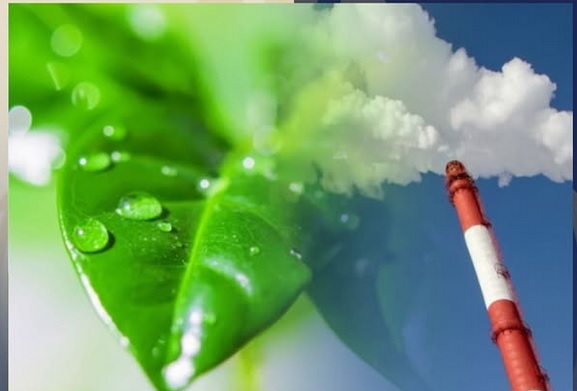 Қоршаған ортаға теріс әсер еткені үшін төлем Бюджет кодексіне сәйкес арнайы түсімдерге жатады.