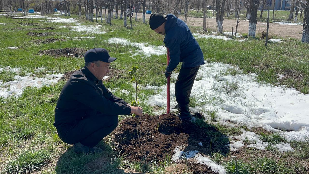 «Таза Қазақстан» экологиялық акциясы аясында Көктіңкөлі ауылдық округінде аумақты абаттандыру мен тазартуға бағытталған «Таза аула» экологиялық акциясы өткізілді.