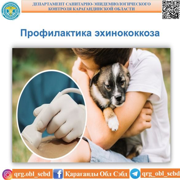 Эхинококкоздың алдын алу