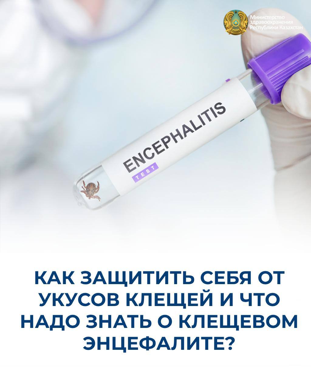 КЕНЕ ШАҒУЫНАН ҚАЛАЙ ҚОРҒАНУҒА БОЛАДЫ ЖӘНЕ КЕНЕ ЭНЦЕФАЛИТІ ТУРАЛЫ НЕНІ БІЛУ КЕРЕК?