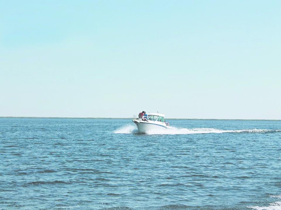 Жетісуда Балқаш көлі жағалауындағы жер учаскелері инвесторларға ашық аукцион арқылы ұсынылады