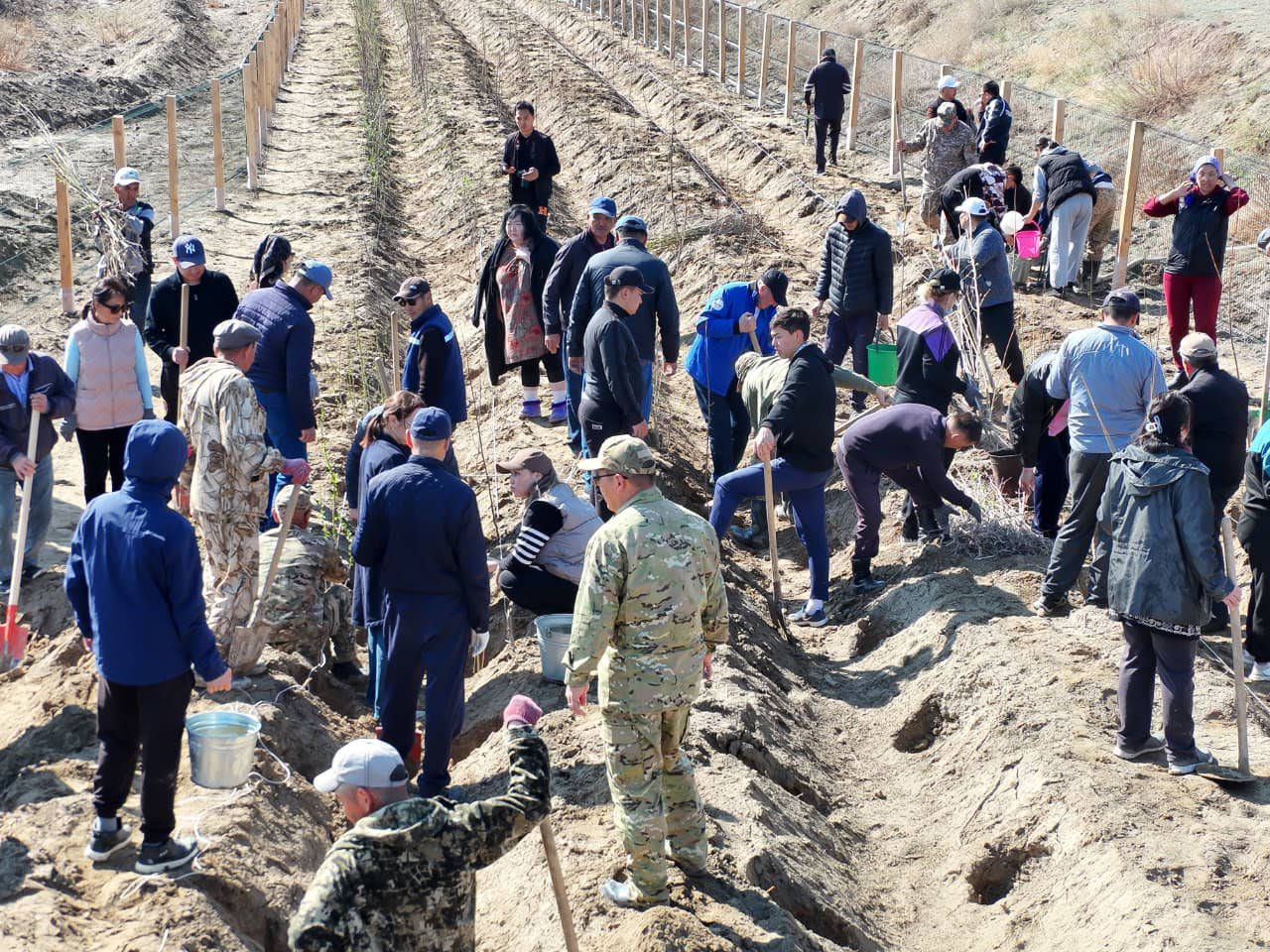 «Таза қазақстан » экологиялық акциясы аясында 2100 түп көшет отырғызылды