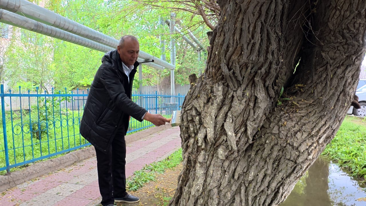 ТАЗА АУЛА АКЦИЯСЫ – ТАЗАЛЫҚҚА БІРГЕ ҚАДАМ!