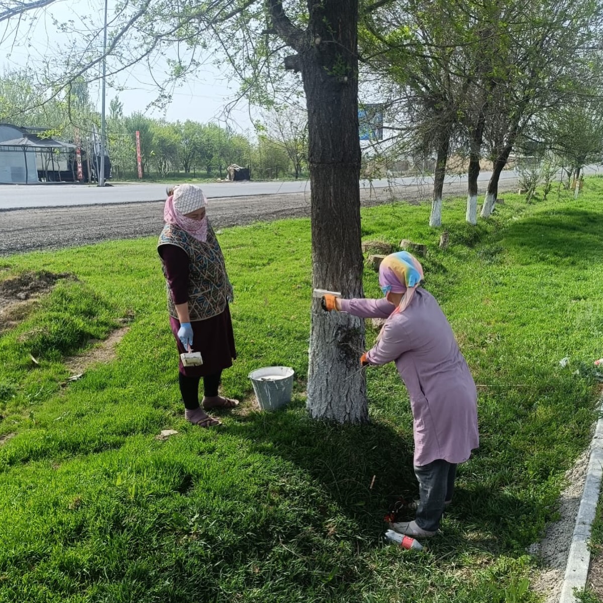 КЕЛЕСТЕ 3 500 КӨШЕТ ЕГІЛІП, 4 500 АҒАШ ӘКТЕЛДІ
