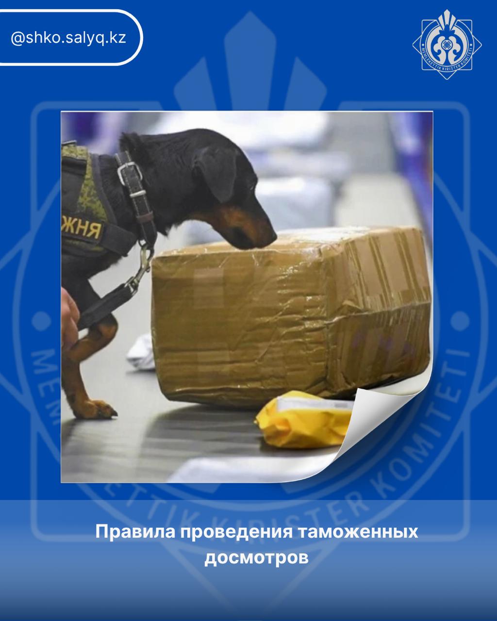 Кедендік тексеріп-қарау ережесі