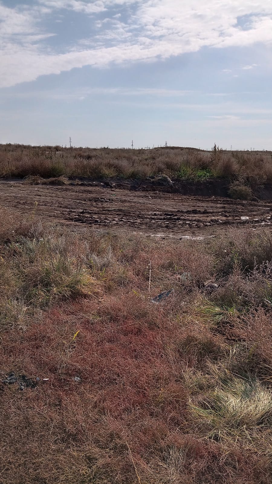 Таза округ – біздің ортақ қамқорлығымыз!