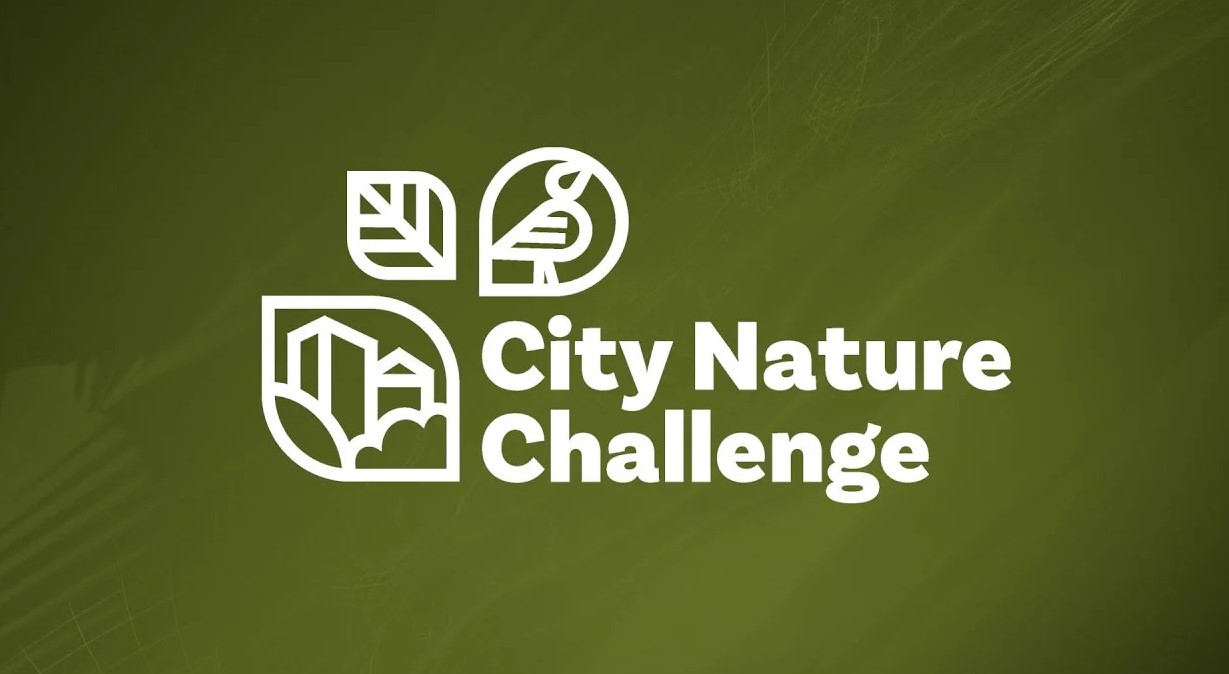 Қарағанды халықаралық City Nature Challenge акциясына қайта қосылады