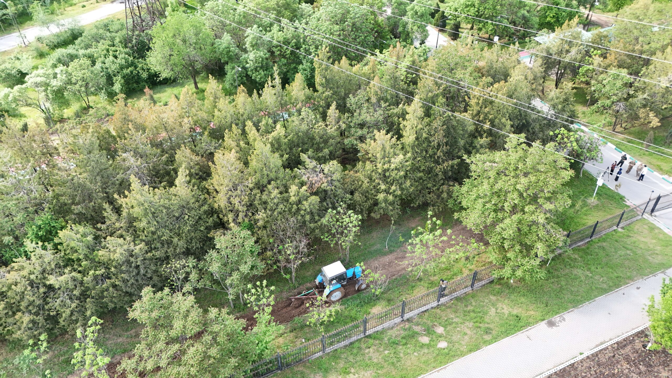 Дала және орман өрттерінің алдын алу-ортақ міндет