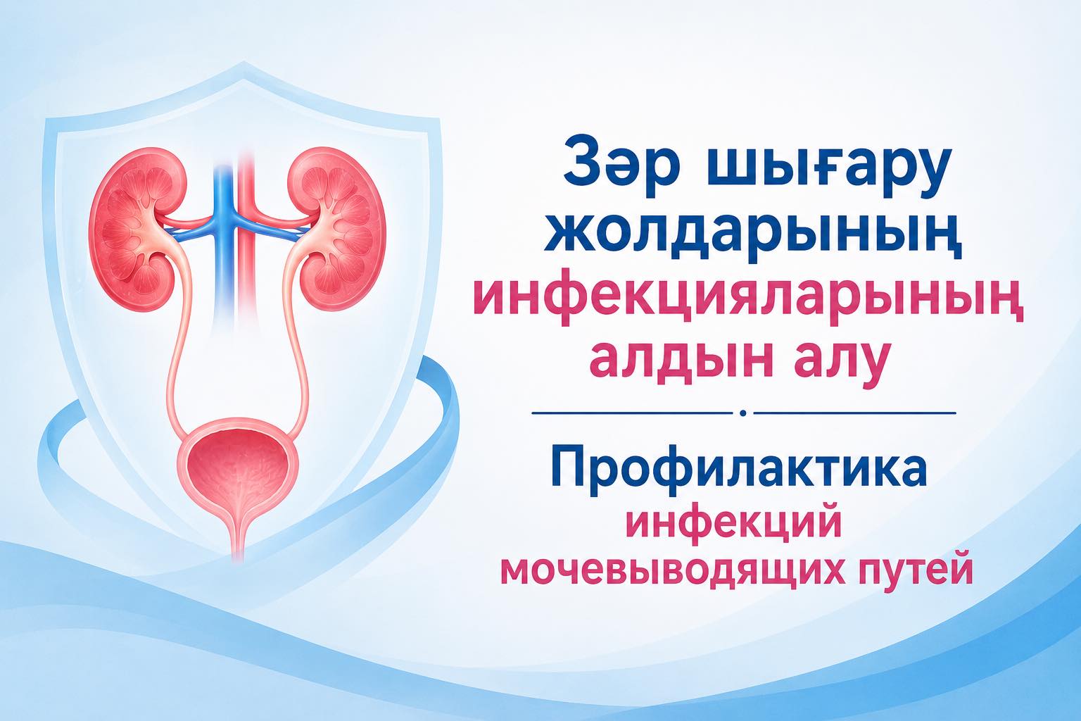 📌Зәр шығару жолдарының инфекцияларының алдын алу