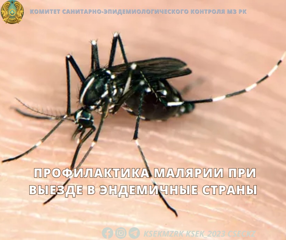 Эндемиялық елдерге сапарға шыққанда безгектің алдын алу