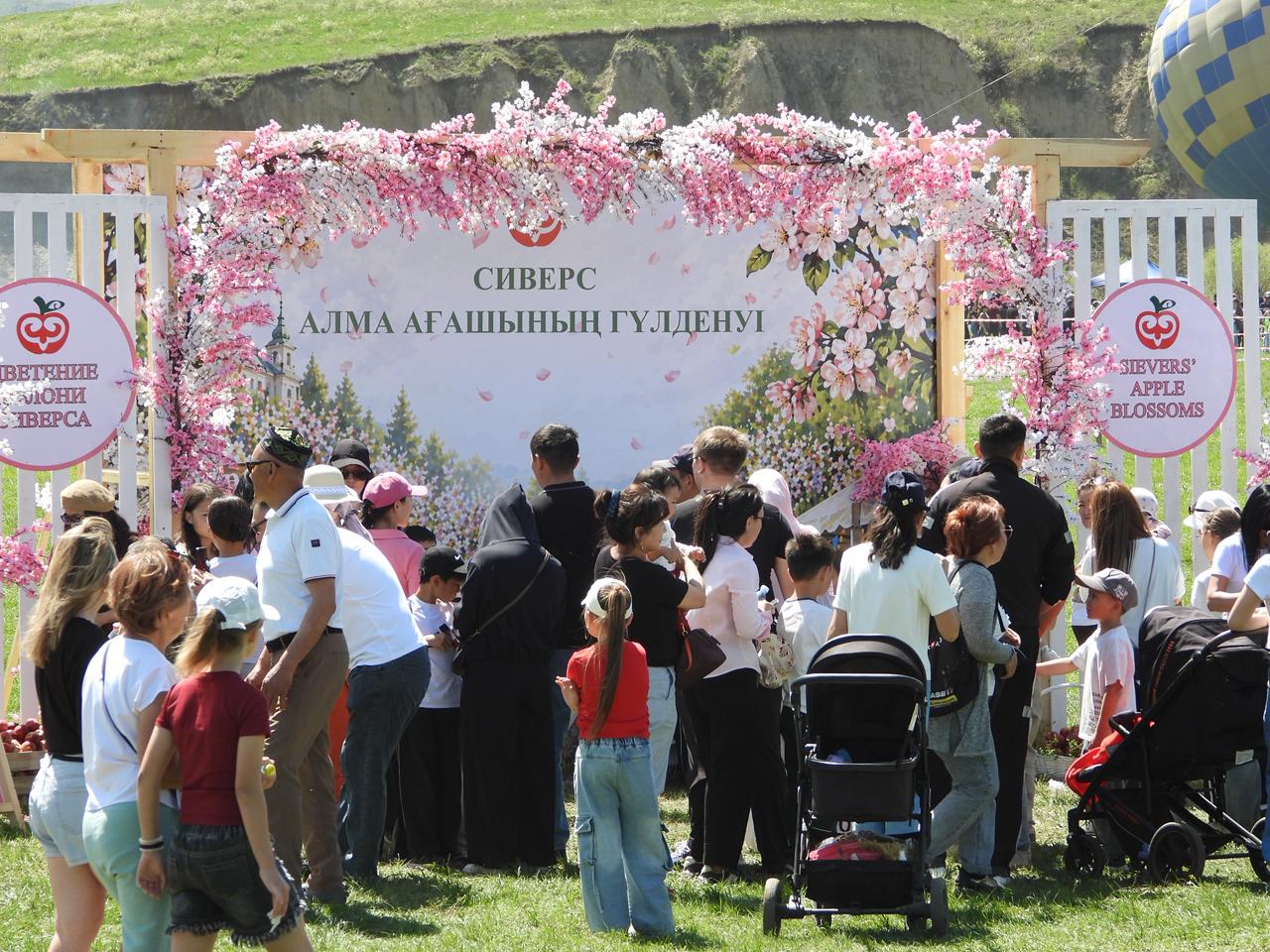 Жетісу төрінде Сиверс алма ағашының гүлдеуіне арналған салтанатты фестиваль өтті