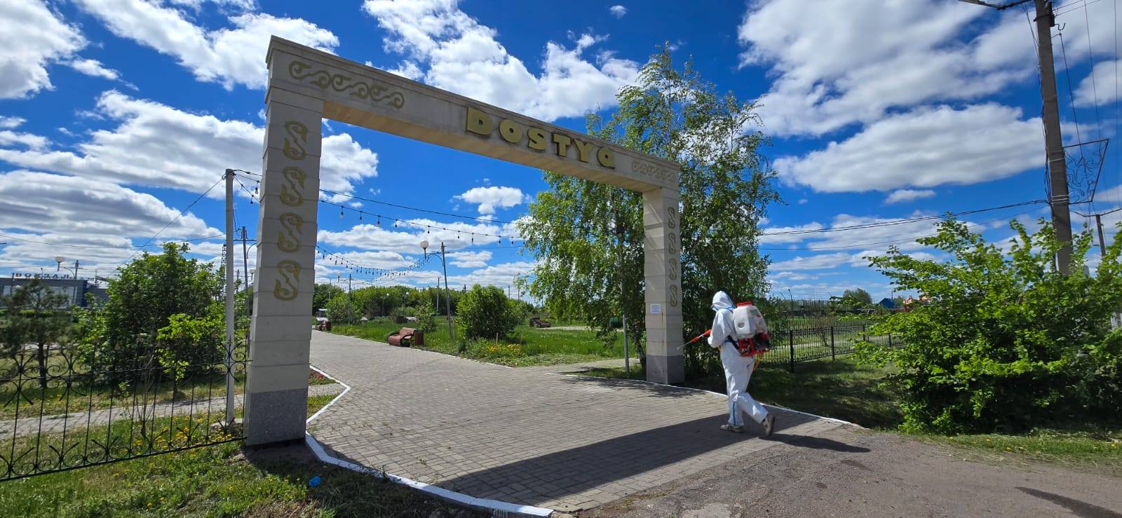 Қауіпсіз жаз: Мамлютка қаласында қоғамдық орындарға жоспарлы дезинсекция жүргізілуде