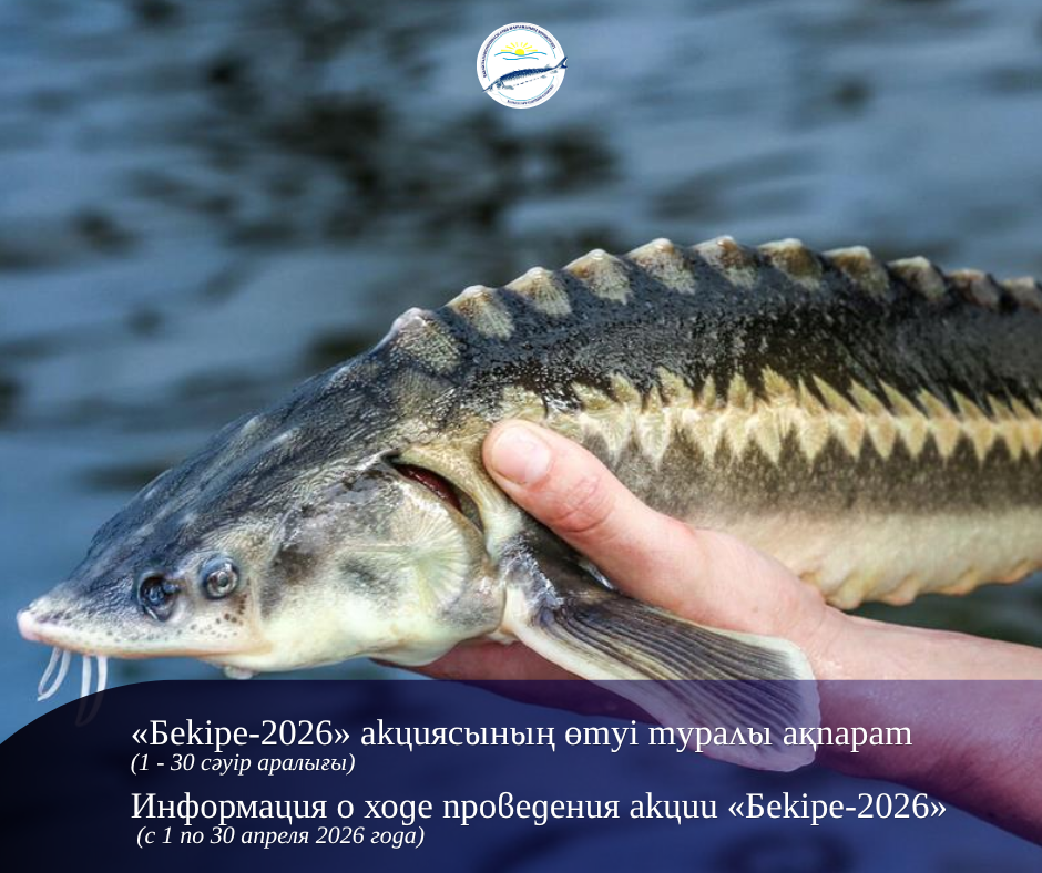 «Бекіре-2026» акциясының өтуі туралы ақпарат (2026 жылғы 1 – 30 сәуір аралығы)