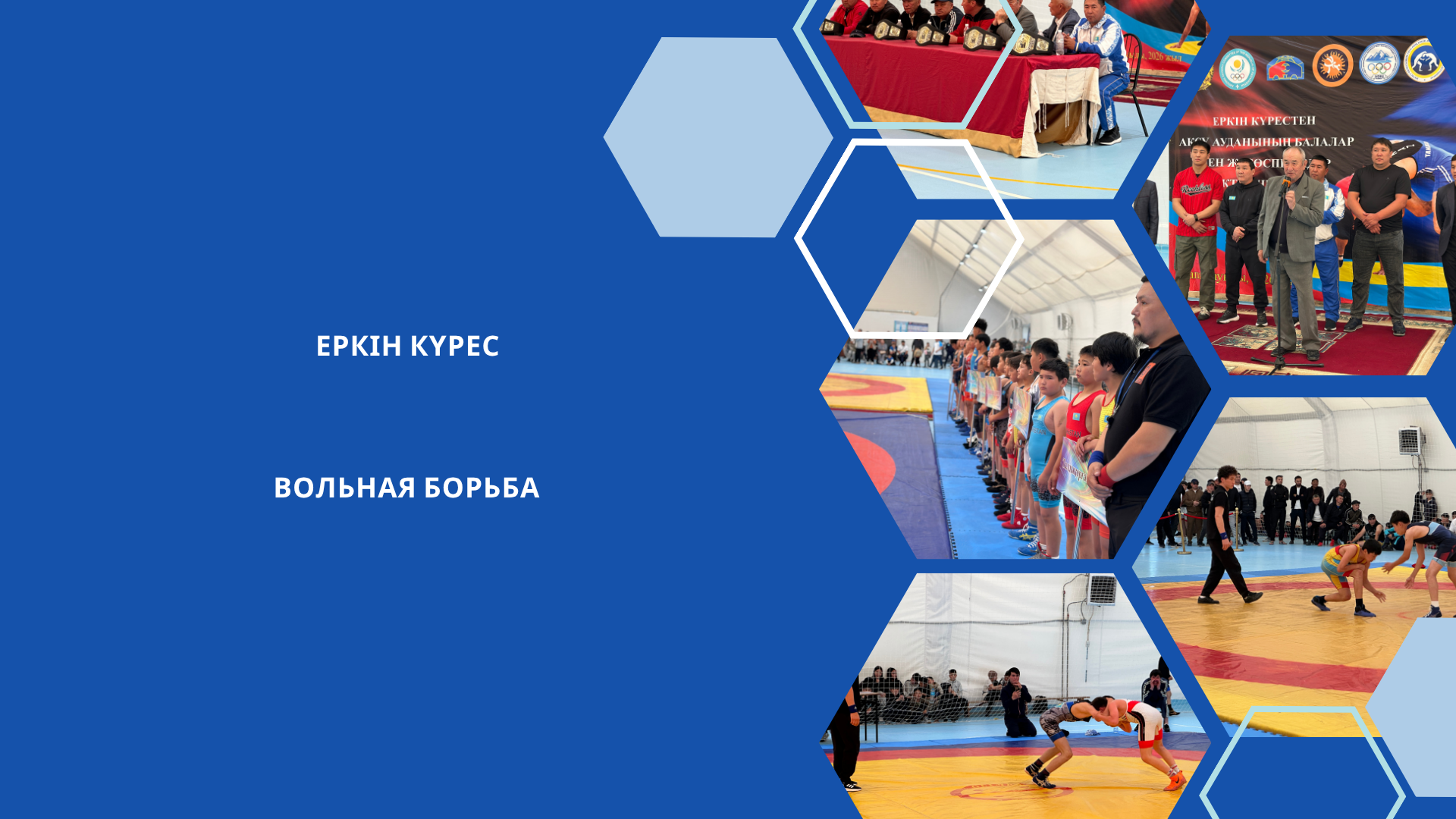 Еркін күрес