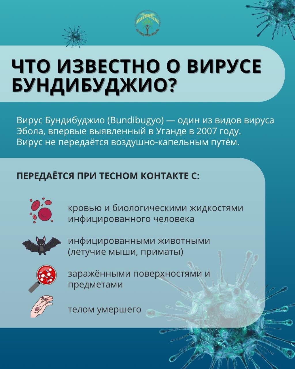 📌 Эбола: шетелге шыққанда нені ескеру қажет