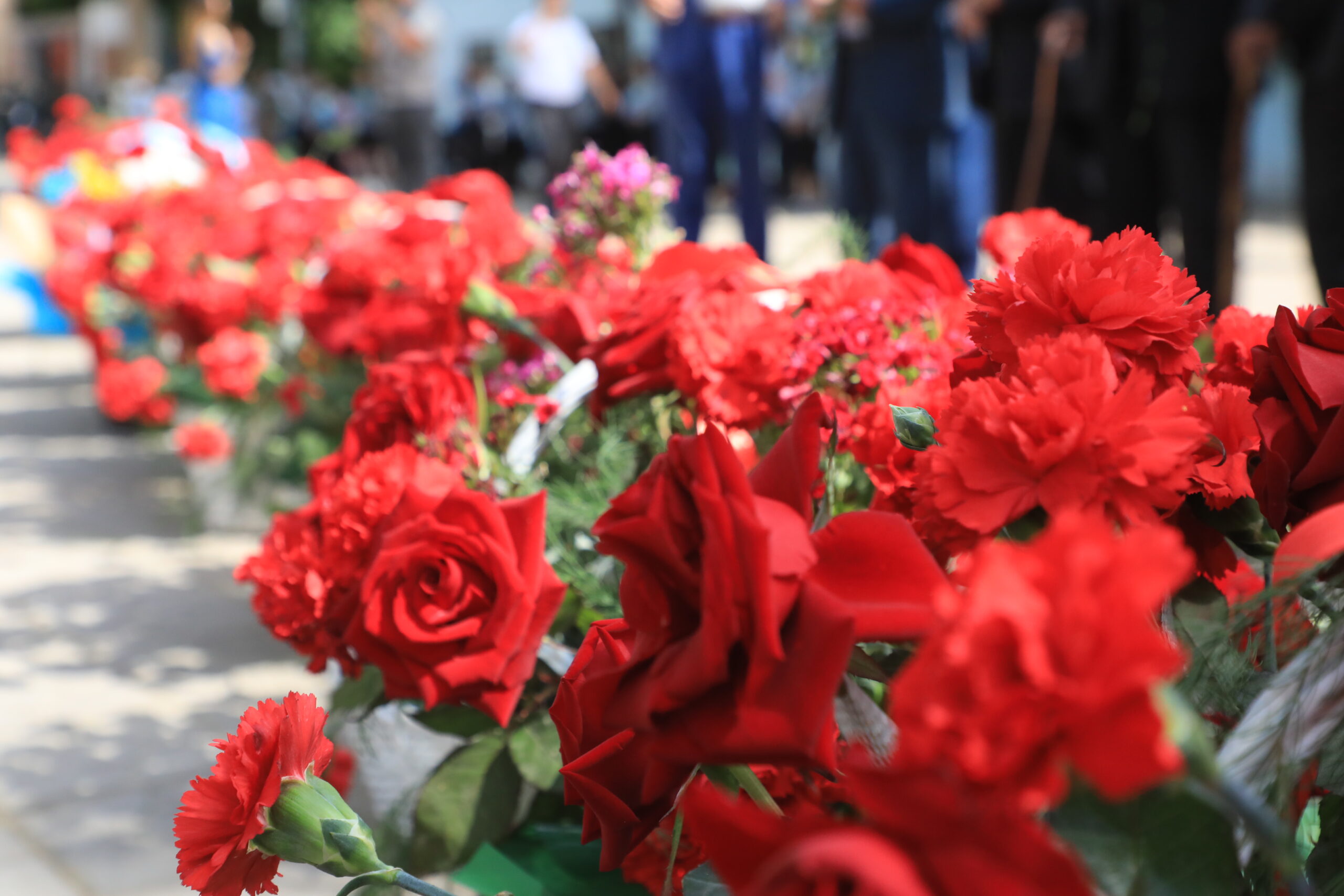 САРЫАҒАШ АУДАНЫНДА ЖЕҢІС КҮНІНЕ АРНАЛҒАН САЛТАНАТТЫ ІС-ШАРА ӨТТІ