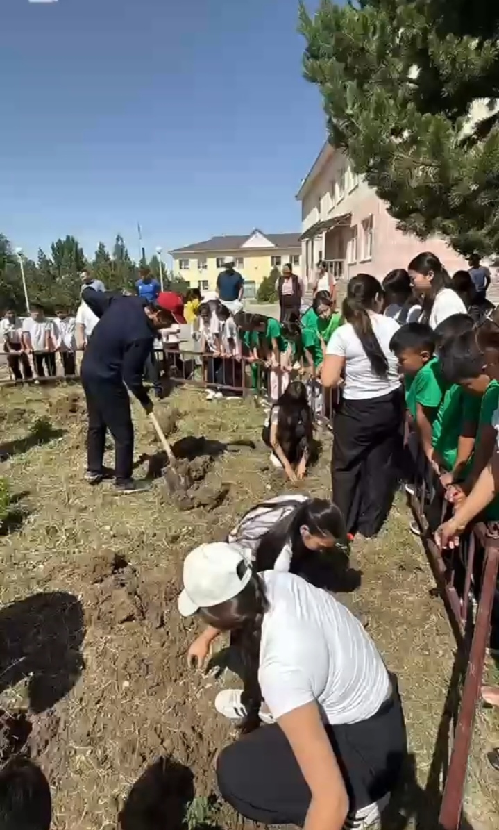 Мектеп ауласын көгалдандыру жұмыстары ұйымдастырылды