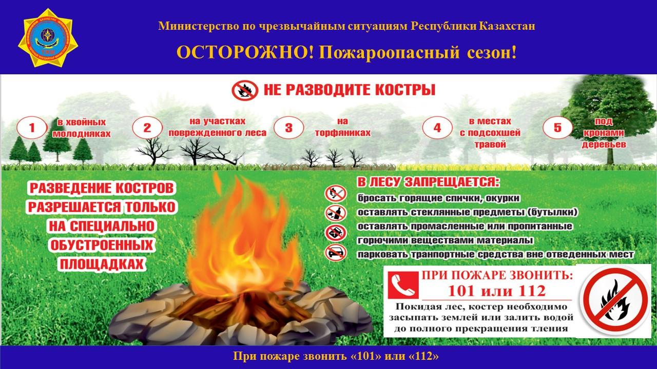ТЖМ табиғатта және су жағасында қауіпсіздік ережелерін сақтауға шақырады