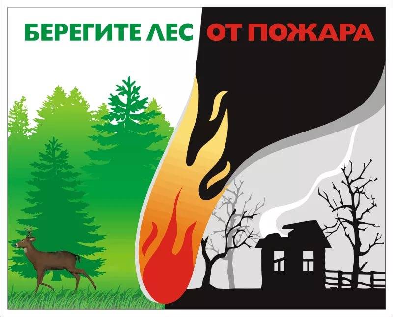 Орман — біздің табиғи байлығымыз және таза ауаның көзі.