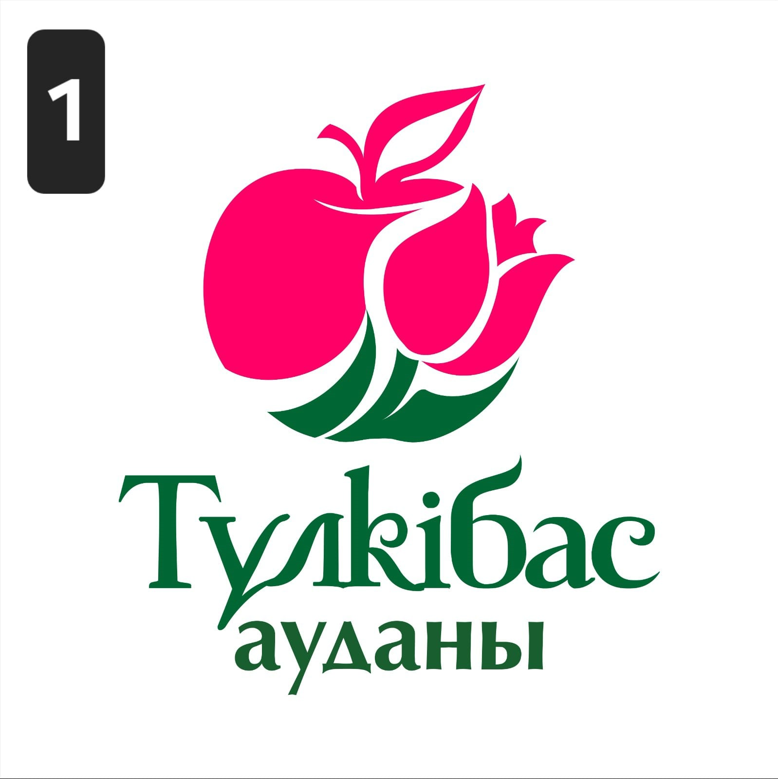 Түлкібас  ауданының логотипін бекіту