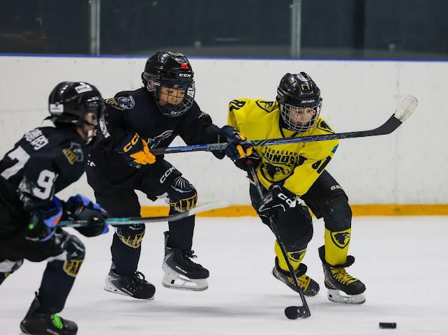 5 елден 200-ден астам жас хоккейші Almaty Nova Cup 2026 турнирінде бақ сынады