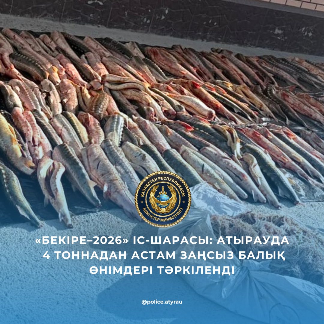 «Бекіре–2026» іс-шарасы: Атырауда 4 тоннадан астам заңсыз балық өнімдері тәркіленді
