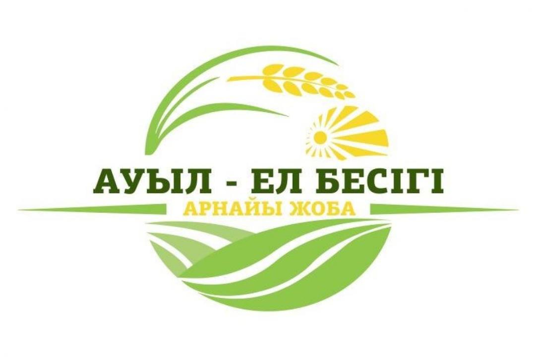 «Ауыл – Ел бесігі» жобасын іске асыру туралы