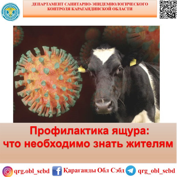 Аусылдың алдын алу: тұрғындар нені білуі керек