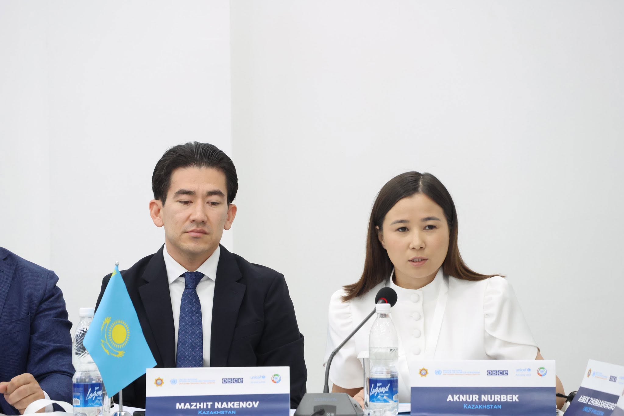 Өңірлік сарапшылар кеңесінің үшінші отырысы өтті