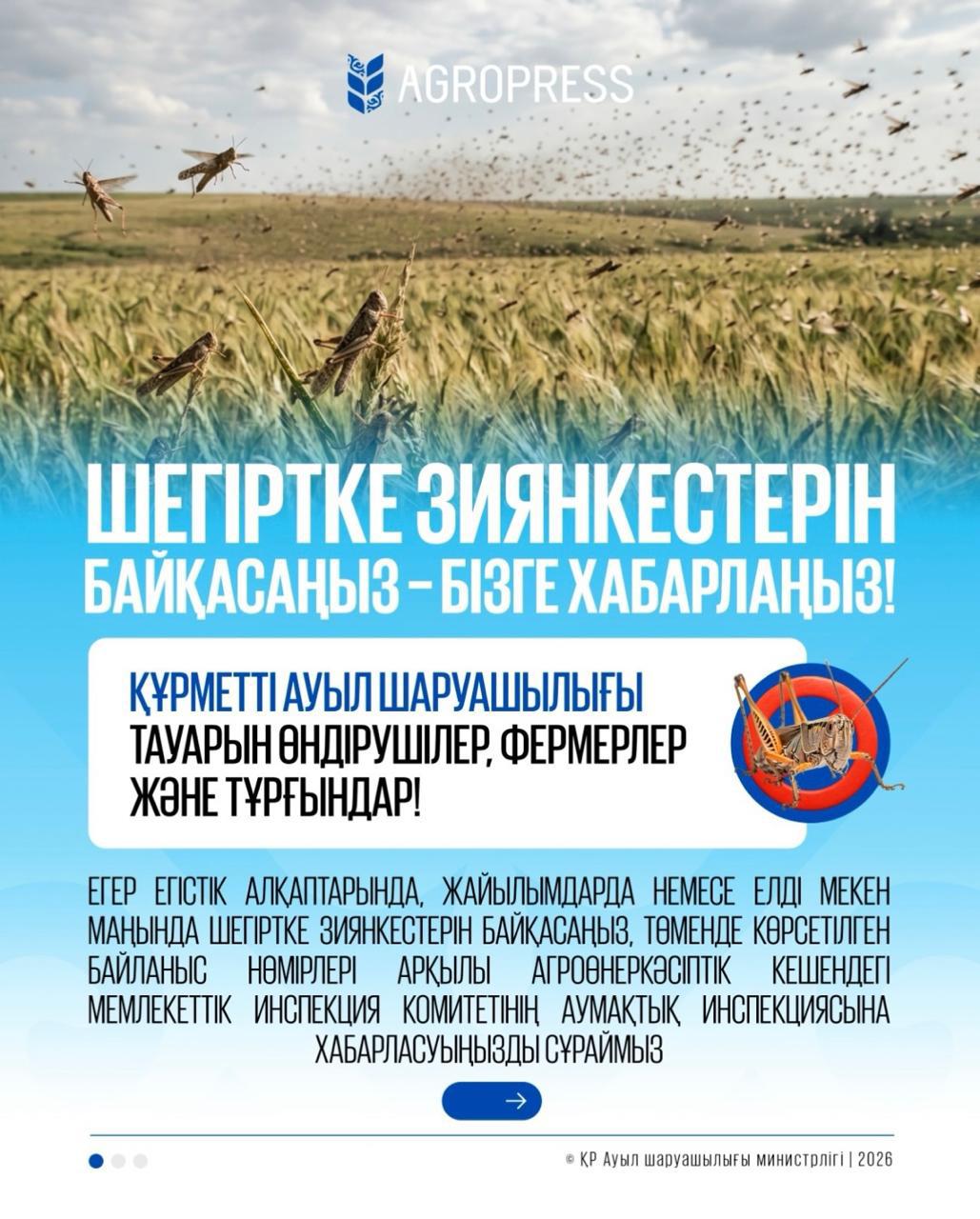 ШЕГІРТКЕ ЗИЯНКЕСТЕРІН БАЙҚАСАҢЫЗ — БІЗГЕ ХАБАРЛАҢЫЗ!