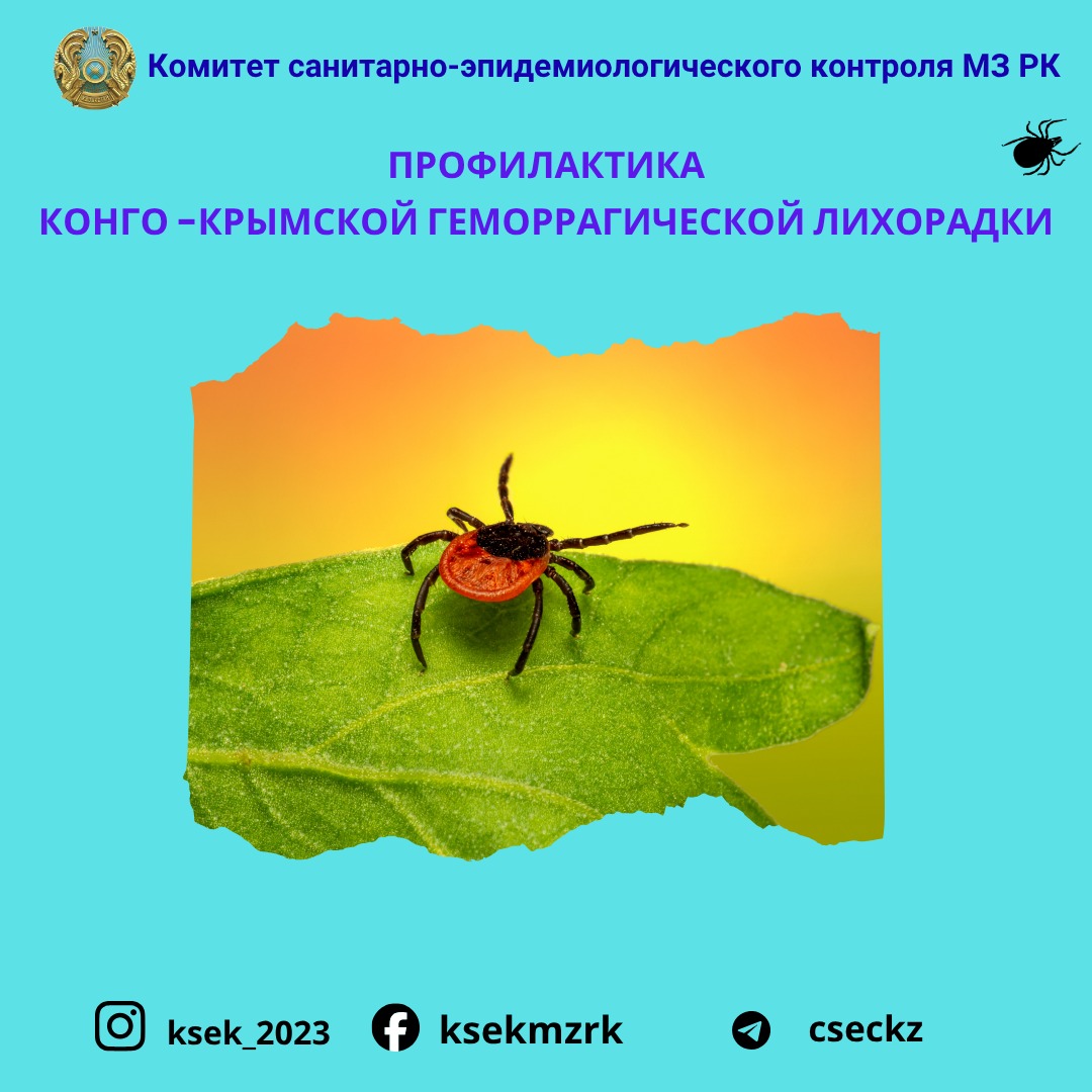 Конго-Қырым геморрагиялық қызбасы