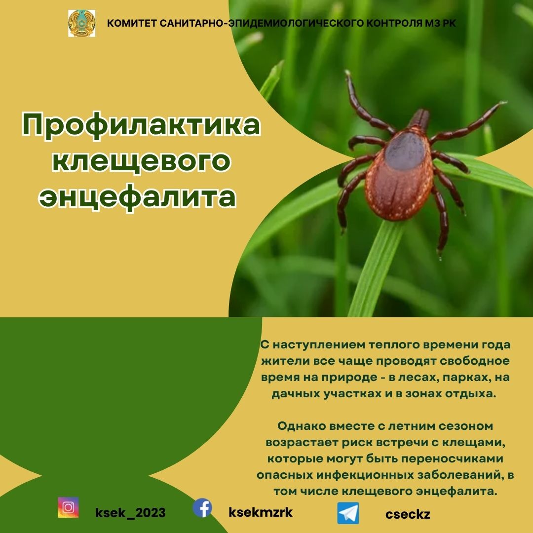 Кене энцефалитінің алдын алу
