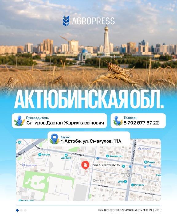 Ақтөбе облысында шегіртке зиянкестеріне қарсы фитосанитариялық бақылау және мониторинг жұмыстары жүргізілуде