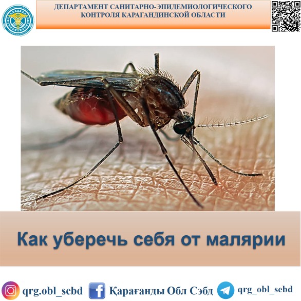 Безгектен қалай қорғануға болады