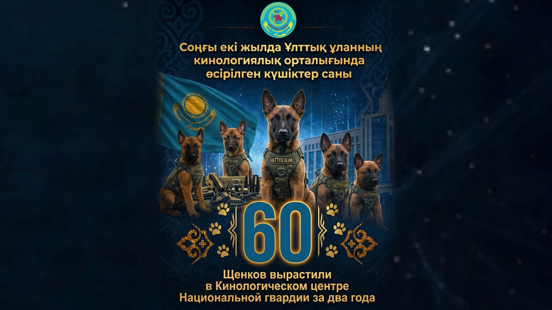 Сандар сөйлейді: Ұлттық ұланның кинология орталығында соңғы екі жылда 60 күшік өсірілді