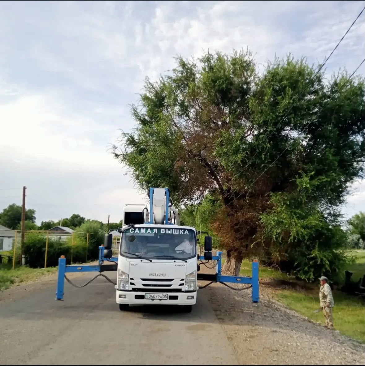 Округ аумағында санитарлық кесу жұмыстары жүргізілуде