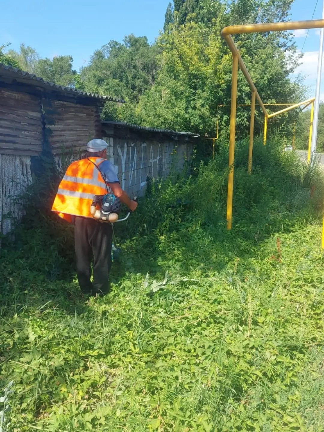 Қарасора және есірткі құрамдас жабайы өсіп тұрған өсімдіктерді жою жұмыстары
