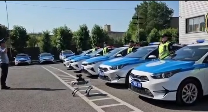 Қарағандыдағы кибер-күзетші: робот-ит қоғамдық қауіпсіздікті күзетуде